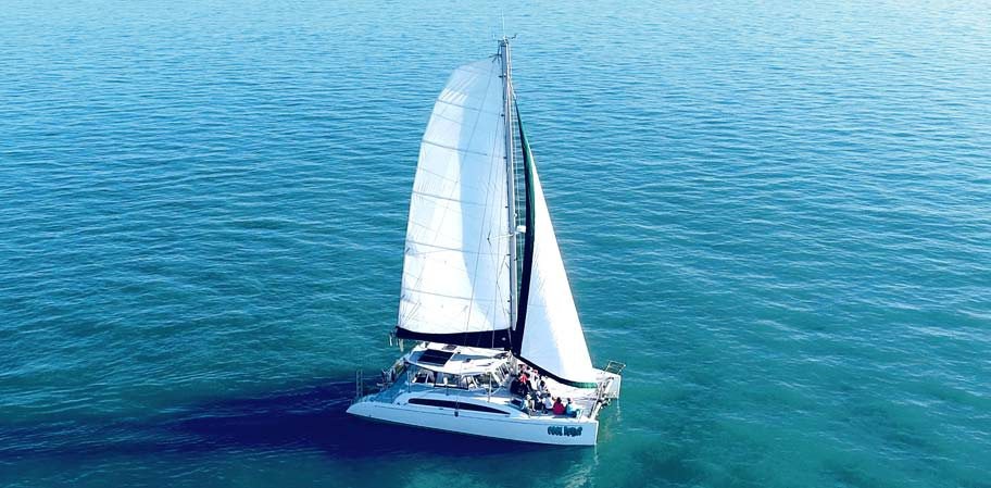 Sailing Catamarans Marco Island And Naples Sunset Cruises