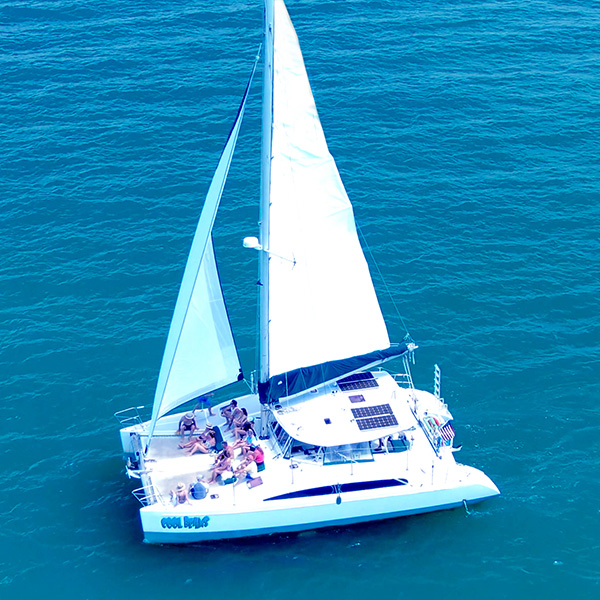 Day-Sail Catamaran Cruise