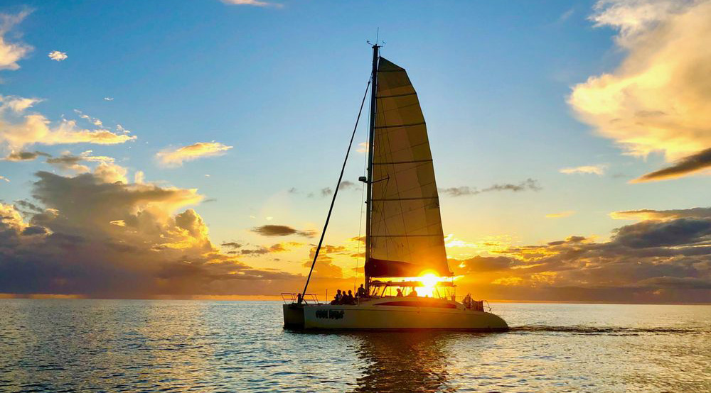 Champagne Sunset Catamaran Cruise