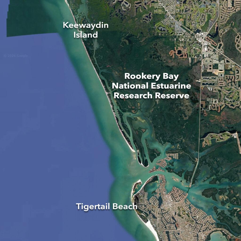 Shelling Area of Exploration